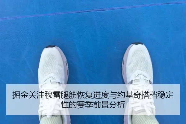 掘金关注穆雷腿筋恢复进度与约基奇搭档稳定性的赛季前景分析